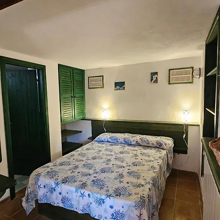 Hébergement de vacances La Terrazza Sul Mare - Panoramic Overlooking Sea And Caprera Island In A Quiet Residential Area - 150 Mt From The Sea