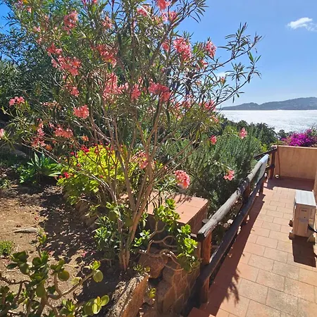 La Terrazza Sul Mare - Panoramic Overlooking Sea And Caprera Island In A Quiet Residential Area - 150 Mt From The Sea