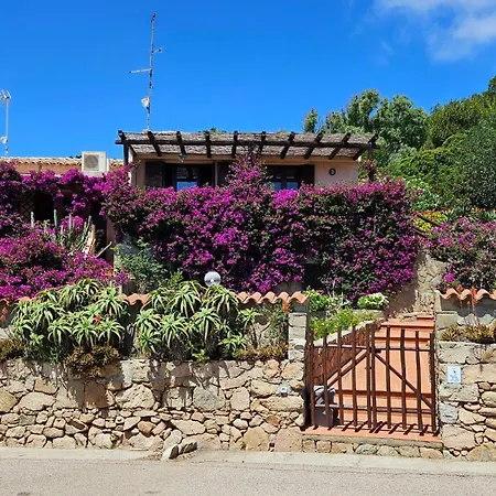 بيت للعطل La Terrazza Sul Mare - Panoramic Overlooking Sea And Caprera Island In A Quiet Residential Area - 150 Mt From The Sea *